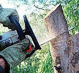 Best Soil Testing and Treatment  in Forest Heights, TX